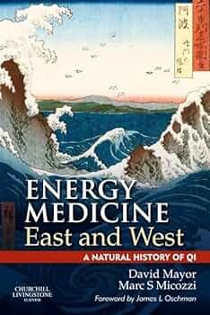 洋書 HEALING INTENTION AND ENERGY MEDICINE Healing, Intention and Energy Medicine: Science, Research